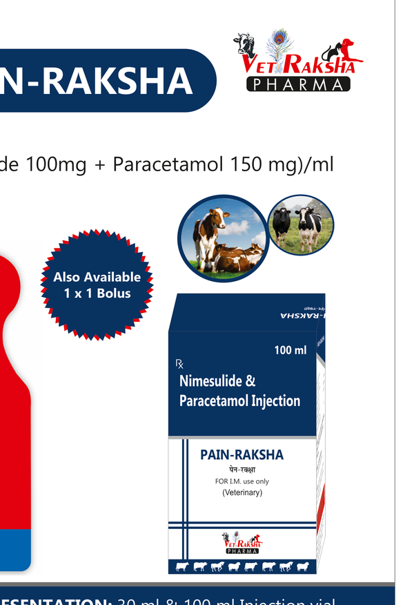 PAIN-RAKSHA